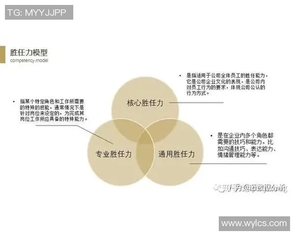 武汉排球队杯赛个人能力分析与表现评估