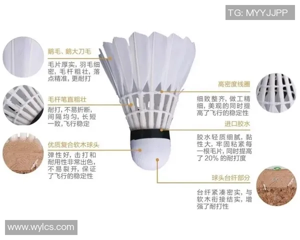 重庆羽毛球队攻势变革揭秘:新战术如何引领羽坛风潮